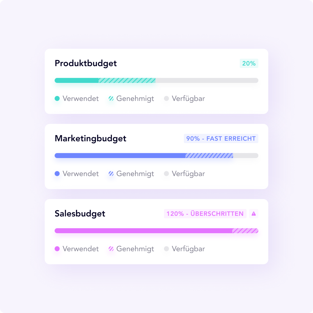 DE_Budget Overview