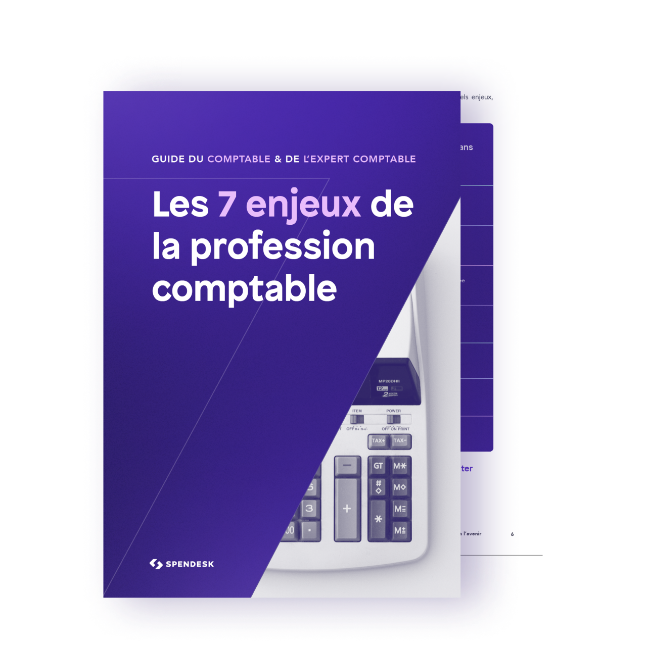 Ebook_Cover_AccountantEbook_FR